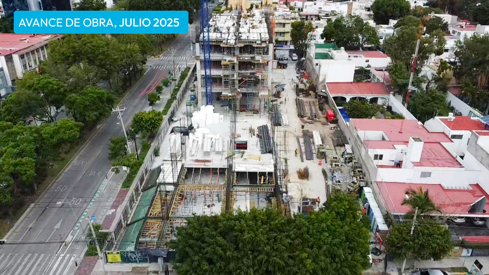 ado_jul2025v3