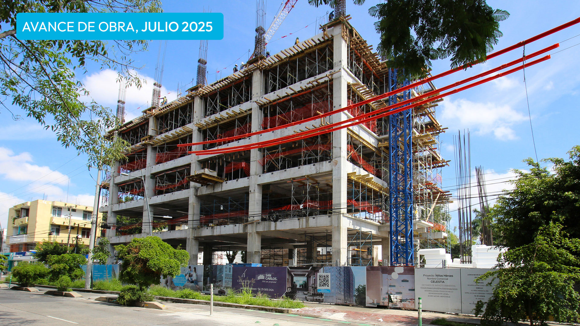 ado_jul2025v8